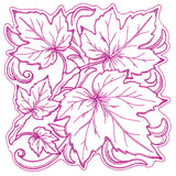 Maple Leaves in Autumn Square