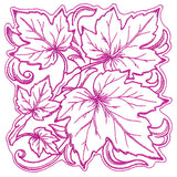 Maple Leaves in Autumn Square