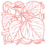 Aspen Leaves in Autumn Square