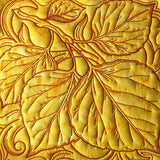 Aspen Leaves in Autumn Square