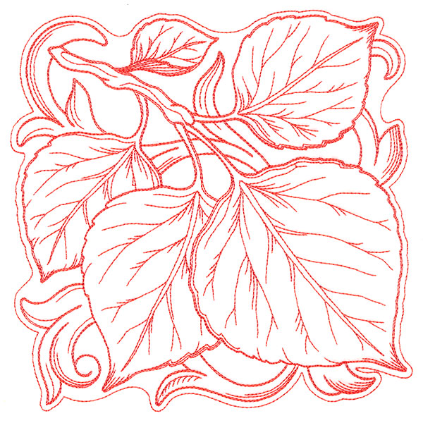 Aspen Leaves in Autumn Square