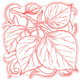 Aspen Leaves in Autumn Square