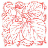 Aspen Leaves in Autumn Square