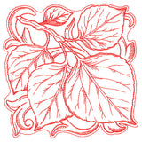 Aspen Leaves in Autumn Square