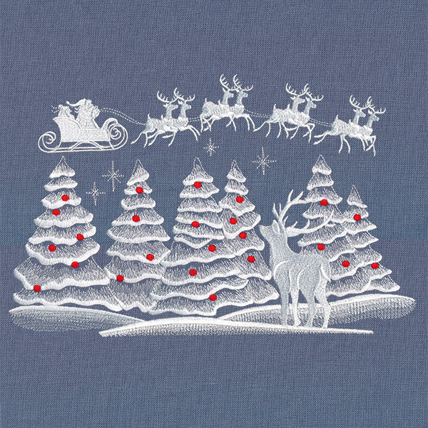 Christmas Team in Flight