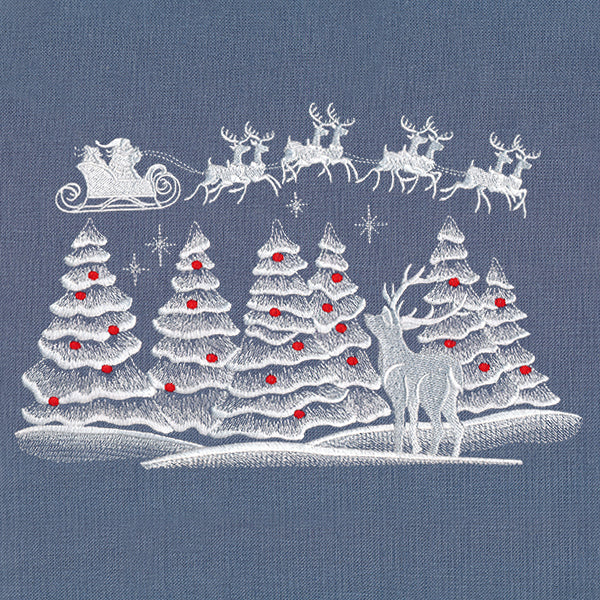 Christmas Team in Flight