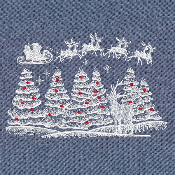 Christmas Team in Flight