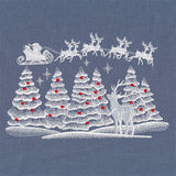 Christmas Team in Flight