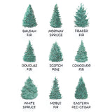 Christmas Tree Chart