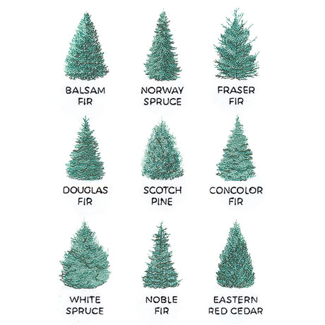 Christmas Tree Chart
