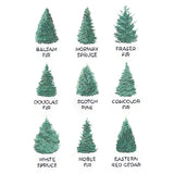 Christmas Tree Chart