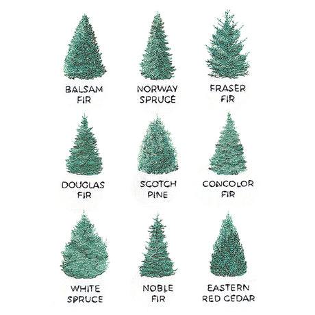 Christmas Tree Chart
