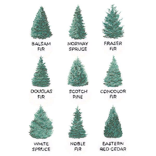 Christmas Tree Chart