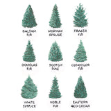 Christmas Tree Chart