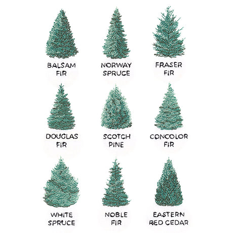 Christmas Tree Chart