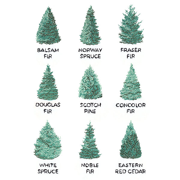 Christmas Tree Chart