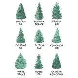 Christmas Tree Chart
