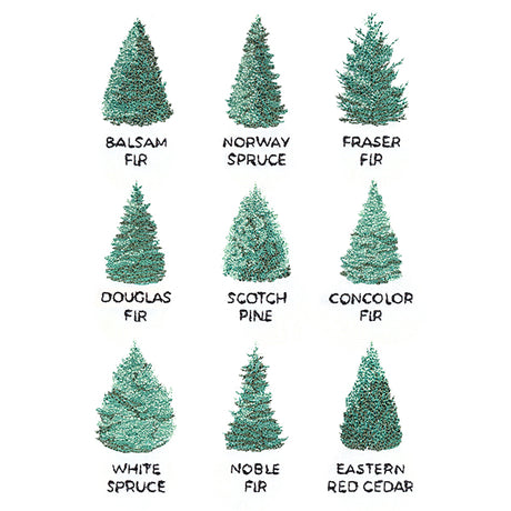Christmas Tree Chart