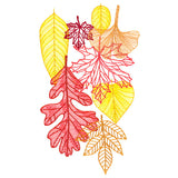 Falling Into Autumn Leaves