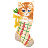 Meowy Festive Kitten