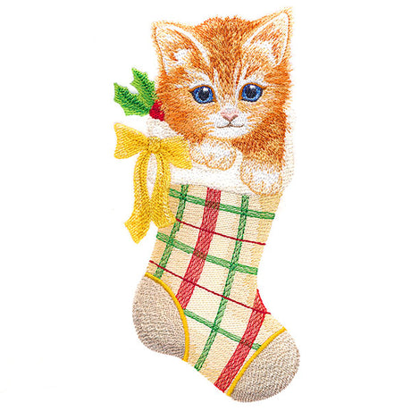 Meowy Festive Kitten