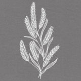 Blissful Wheat Feature