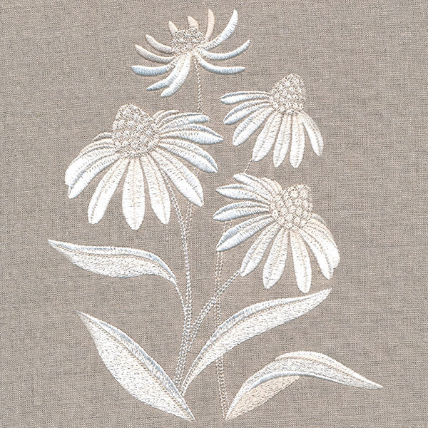 Cute Coneflower Bouquet