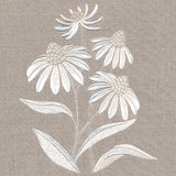 Cute Coneflower Bouquet