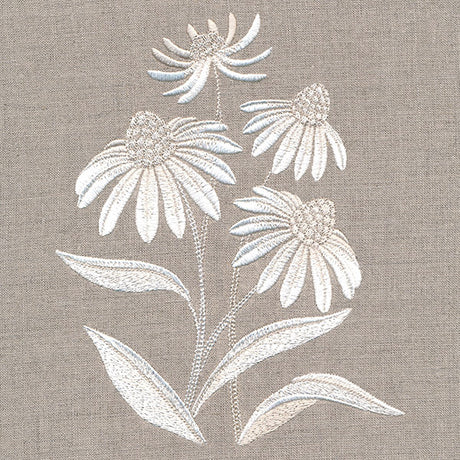 Cute Coneflower Bouquet