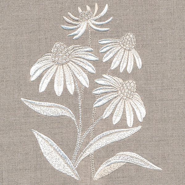 Cute Coneflower Bouquet