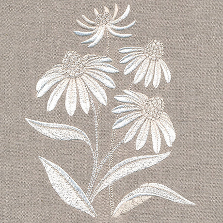 Cute Coneflower Bouquet