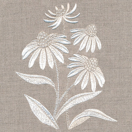 Cute Coneflower Bouquet