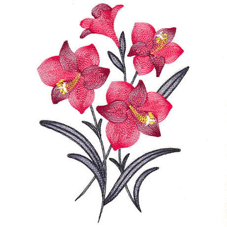 Festive Flourishing Bouquet - Amaryllis