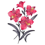 Festive Flourishing Bouquet - Amaryllis