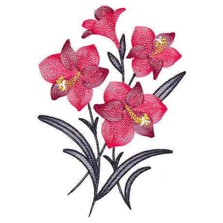 Festive Flourishing Bouquet - Amaryllis