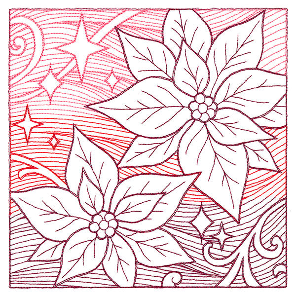 Christmas Poinsettia Etching