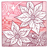 Christmas Poinsettia Etching