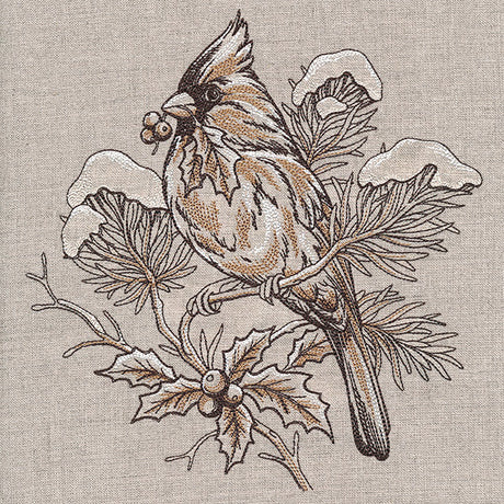 Winter Beauty Cardinal