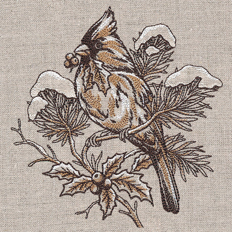 Winter Beauty Cardinal