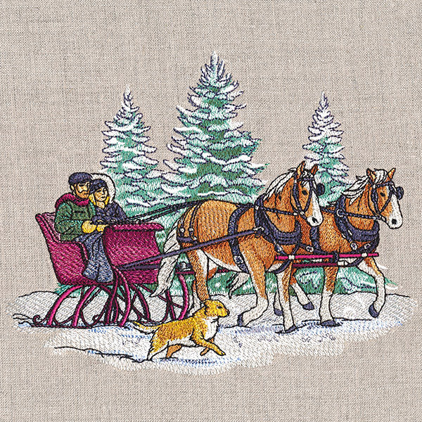 Memorable Winter Sleigh Ride