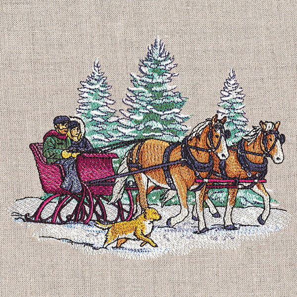 Memorable Winter Sleigh Ride