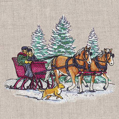 Memorable Winter Sleigh Ride