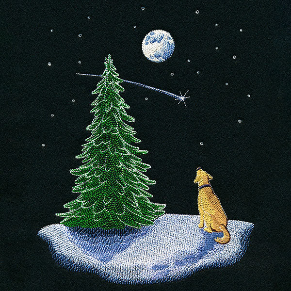 Wish Upon A Star Puppy