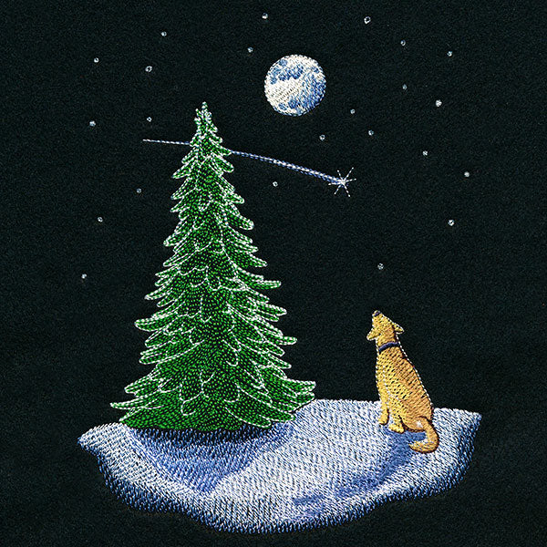 Wish Upon A Star Puppy