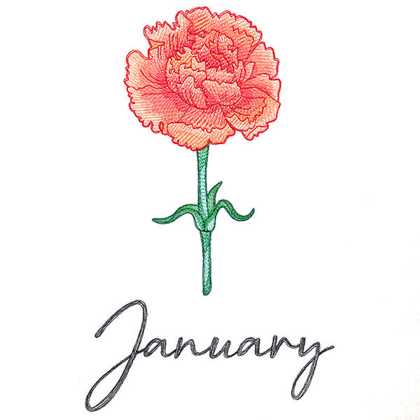 Flowers of the Year - January