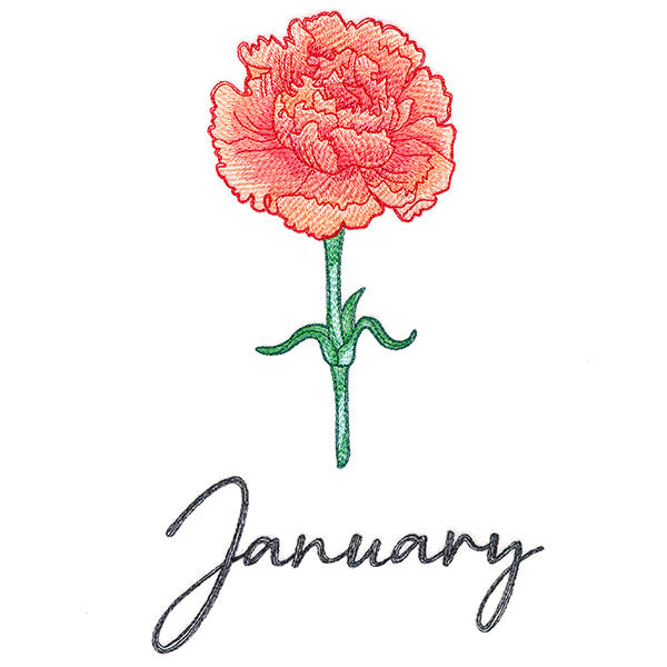 Flowers of the Year - January
