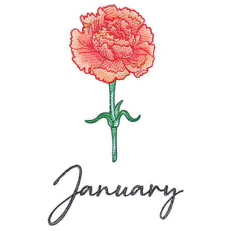 Flowers of the Year - January