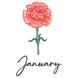 Flowers of the Year - January