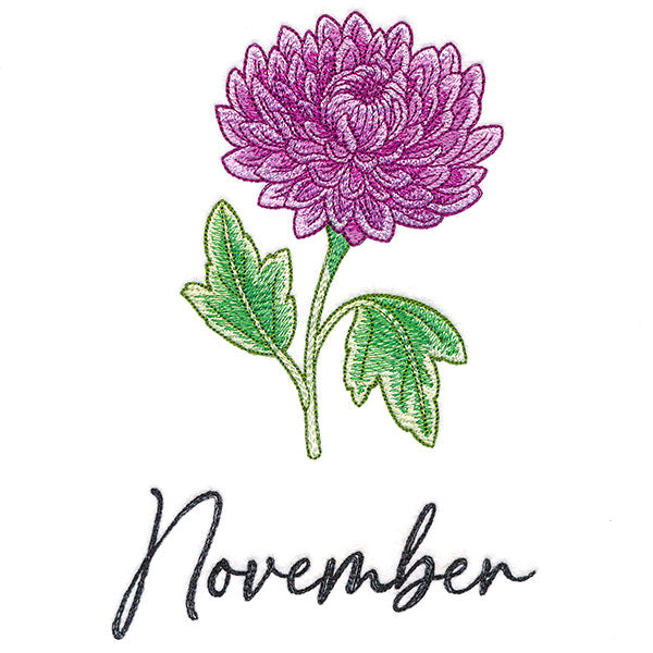 Flowers of the Year - November