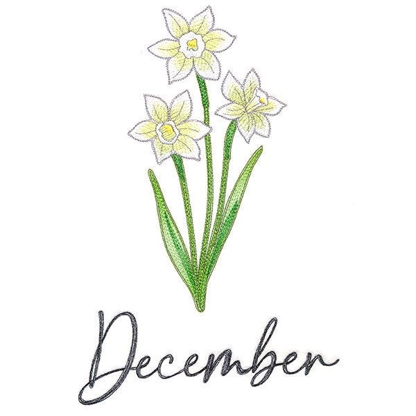 Flowers of the Year - December